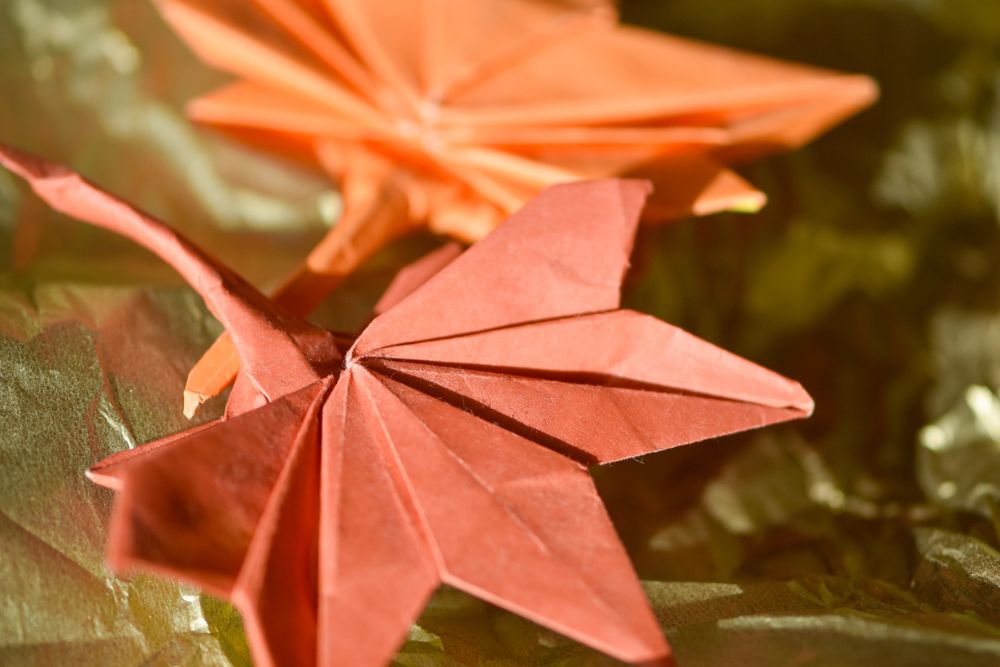 origami lönnlöv