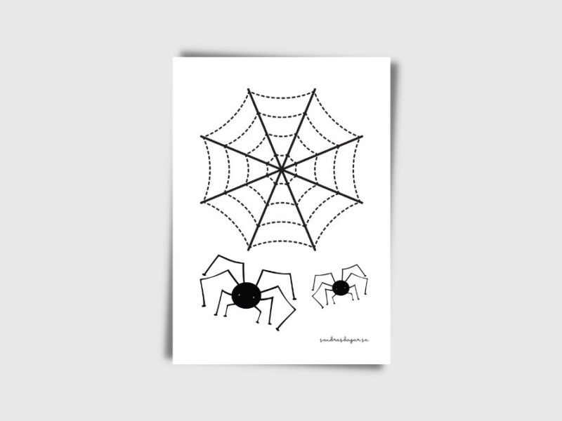 pysselbilder för att spåra linjer i spindelnät